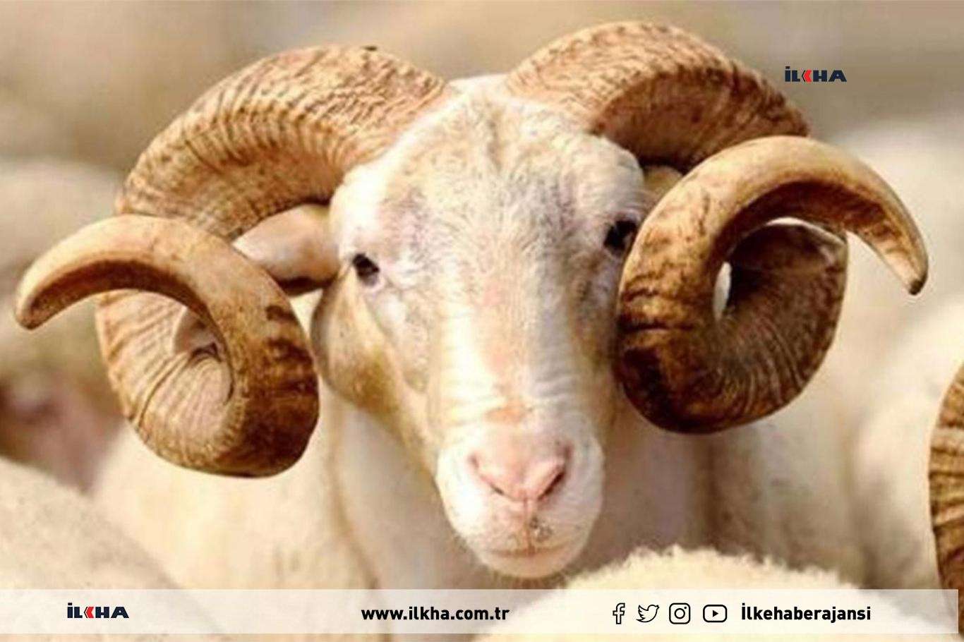 What is the significance of Qurban in Islam?